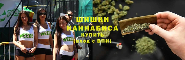 стаф Богородицк