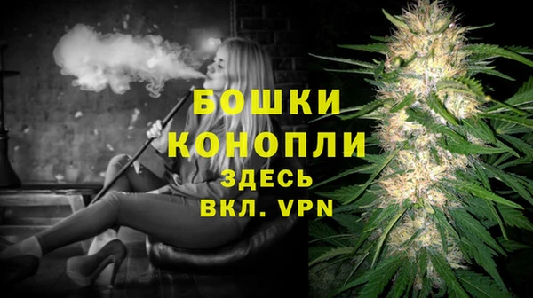 стаф Богородицк
