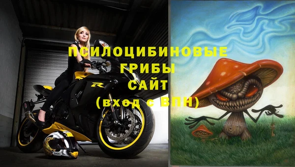 ALPHA PVP Богданович