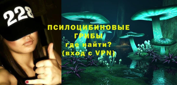стаф Богородицк